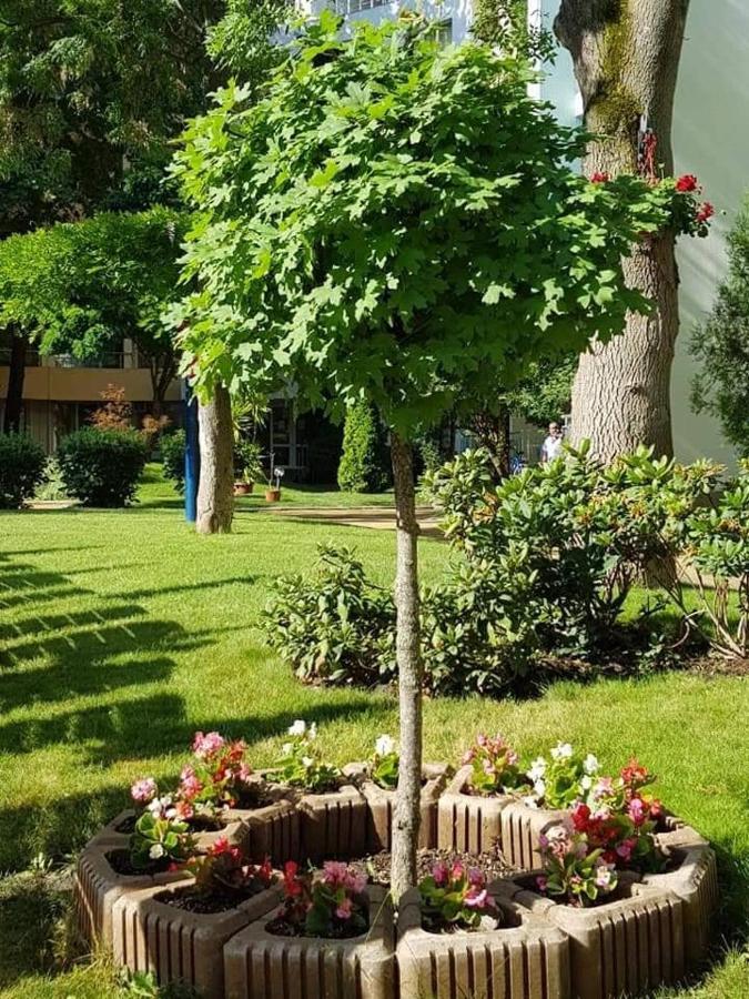 Yassen Holiday Village Сонячний Берег Екстер'єр фото